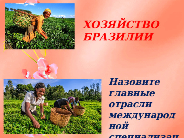 ХОЗЯЙСТВО БРАЗИЛИИ Назовите главные отрасли международной специализации Бразилии 