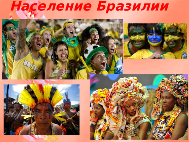 Население Бразилии 