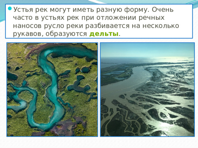 Устья рек могут иметь разную форму. Очень часто в устьях рек при отложении речных наносов русло реки разбивается на несколько рукавов, образуются  дельты . 