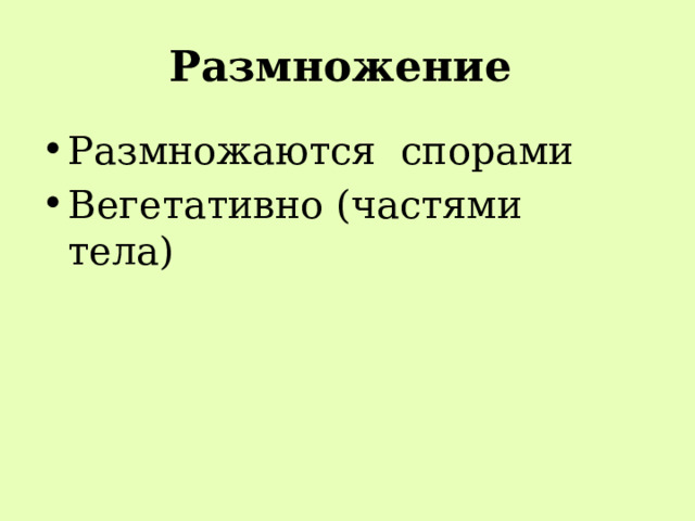 Размножение Размножаются спорами Вегетативно (частями тела) 