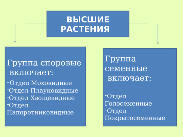 ВЫСШИЕ РАСТЕНИЯ Группа споровые  включает: - Отдел Моховидные Отдел Плауновидные Отдел Хвощевидные Отдел Папоротниковидные Группа семенные  включает: Отдел Голосеменные Отдел Покрытосеменные  