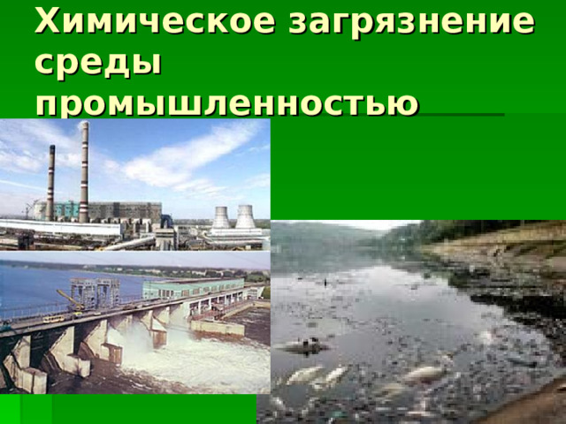 Химическое загрязнение среды промышленностью 