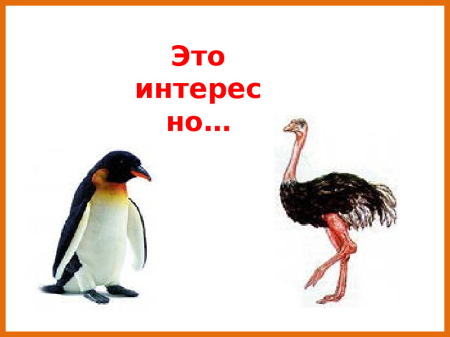 Это интересно… 