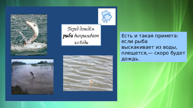 Есть и такая примета: если рыба выскакивает из воды, плещется,— скоро будет дождь. 
