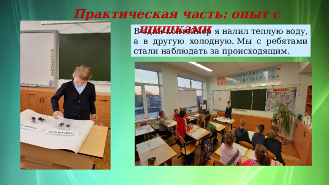 Практическая часть: опыт с шишками В один контейнер я налил теплую воду, а в другую холодную. Мы с ребятами стали наблюдать за происходящим. 