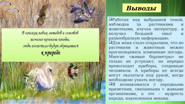 Выводы   Работая над выбранной темой, наблюдая за растениями и животными, изучая литературу, я получил большой опыт и разнообразную информацию. Для меня стало открытием, что по растениям и животным можно прогнозировать изменение погоды. Многие «живые барометры» не только не уступают, но нередко превосходят приборы, созданные человеком. А приборы не всегда могут оказаться под рукой, когда необходимо узнать погоду. Я познакомился с народными приметами, связанными с живыми организмами, а это – мудрость народа, накопленная веками.   