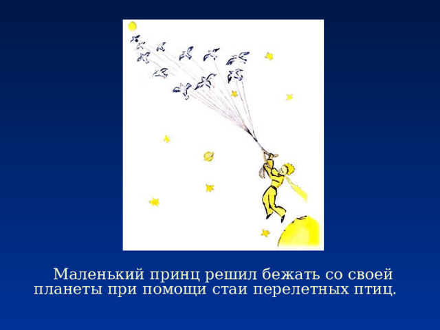  Маленький принц решил бежать со своей планеты при помощи стаи перелетных птиц. 