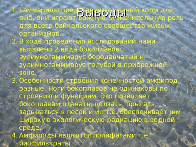 Выводы Гаммариды представляют ценный корм для рыб, они играют важную и значительную роль для всего байкальского сообщества живых организмов. В ходе проведения исследований нами выявлено 2 вида бокоплавов: э улимногамммарус бородавчатый и эулимногамммарус голубой в прибрежной зоне. Особенности строения конечностей амфипод, разные. Ноги бокоплавов не одинаковы по строению и функциям. Это позволяет бокоплавам плавать, ползать, прыгать, зарываться в песок и ил т.е. обеспечивает им широкую экологическую радиацию в водной среде. Амфиподы являются полифагами т.е. биофильтраты  