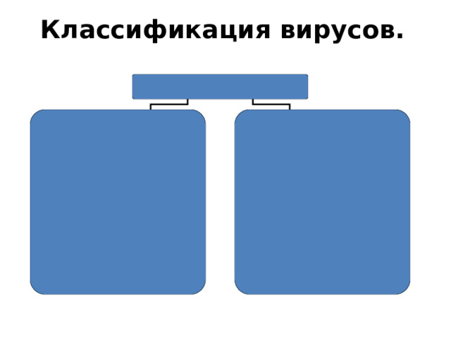 Классификация вирусов. 