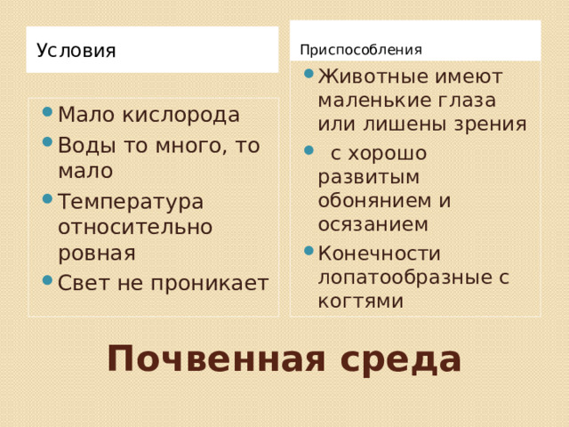 Приспособления Условия Животные имеют маленькие глаза или лишены зрения  с хорошо развитым обонянием и осязанием Конечности лопатообразные с когтями Мало кислорода Воды то много, то мало Температура относительно ровная Свет не проникает Почвенная среда 