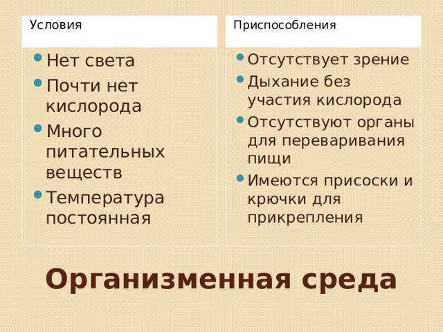 Условия Приспособления Нет света Почти нет кислорода Много питательных веществ Температура постоянная Отсутствует зрение Дыхание без участия кислорода Отсутствуют органы для переваривания пищи Имеются присоски и крючки для прикрепления Организменная среда 
