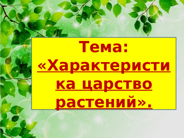 Тема: «Характеристика царство растений». 