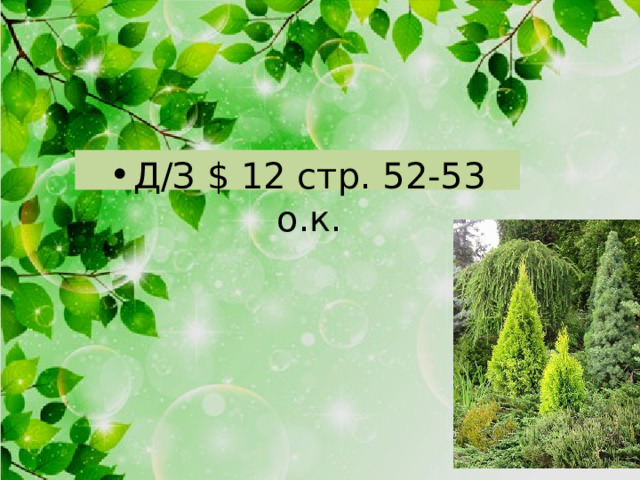 Д/З $ 12 стр. 52-53 о.к. 