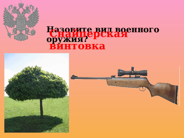 Назовите вид военного оружия? Снайперская винтовка 