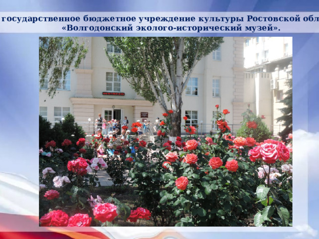 государственное бюджетное учреждение культуры Ростовской области «Волгодонский эколого-исторический музей». 