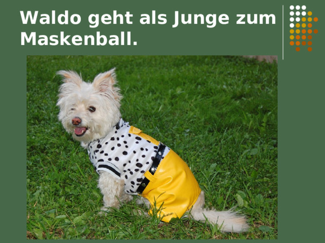 Waldo geht als Junge zum Maskenball. 