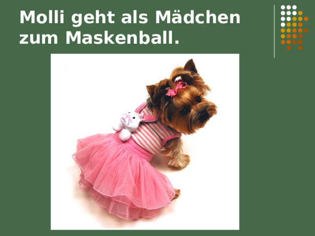 Molli geht als Mädchen zum Maskenball. 