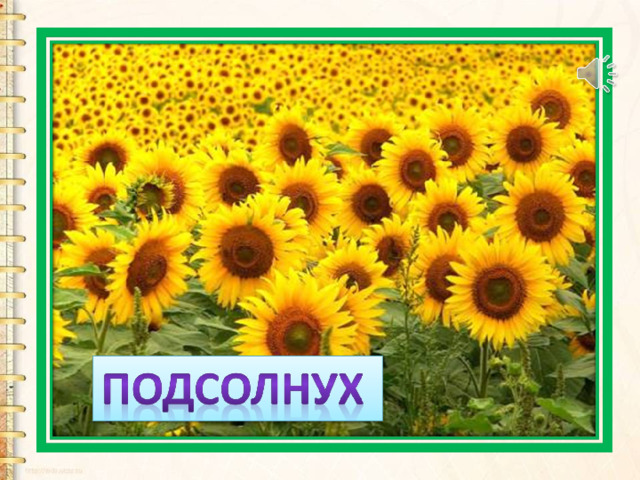 Золотое решето  Черных домиков полно. 