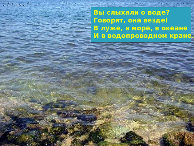 Вы слыхали о воде? Говорят, она везде! В луже, в море, в океане И в водопроводном кране. 