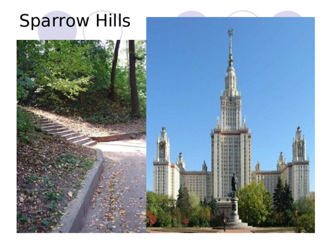Sparrow Hills 