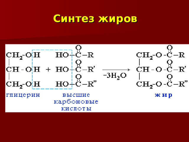 Синтез жиров  