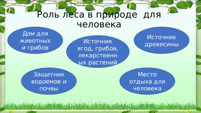 Роль леса в природе  для человека Дом для животных и грибов Источник древесины Источник ягод, грибов, лекарственных растений Защитник водоемов и почвы Место отдыха для человека 