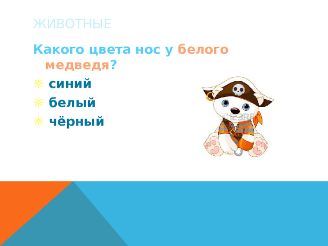 ЖИВОТНЫЕ Какого цвета нос у белого медведя ? ☼  синий ☼  белый ☼  чёрный 