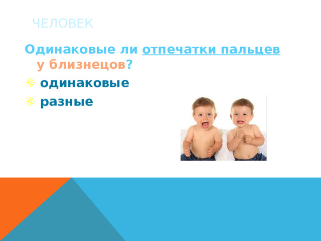 ЧЕЛОВЕК Одинаковые ли отпечатки пальцев  у близнецов ? ☼  одинаковые ☼  разные 