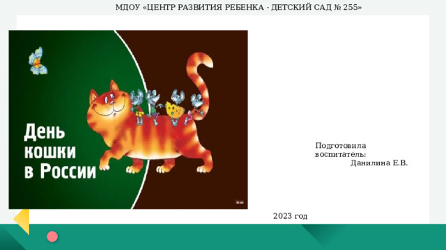 МДОУ «ЦЕНТР РАЗВИТИЯ РЕБЕНКА - ДЕТСКИЙ САД № 255» МДОУ