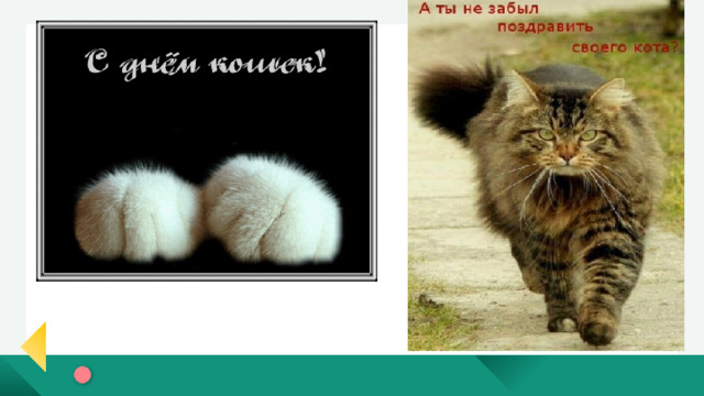 МДОУ