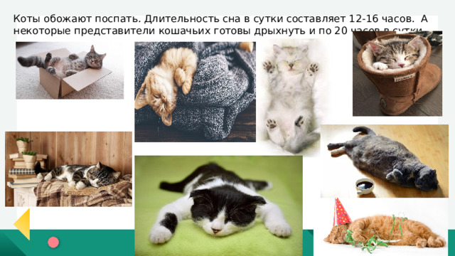 МДОУ