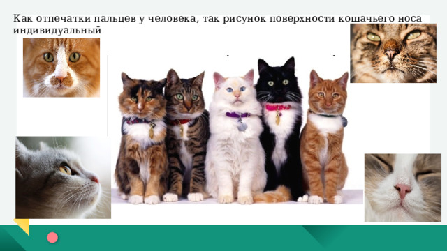 МДОУ