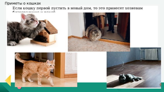 Приметы о кошках МДОУ