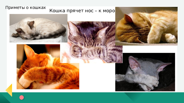МДОУ