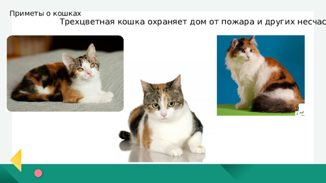 МДОУ
