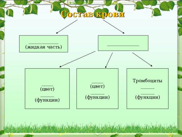  Состав крови _____________ (жидкая часть) ______________ _____ (цвет) ______ (функции) _____ (цвет) ______ (функции) Тромбоциты ______ ______ (функции) 