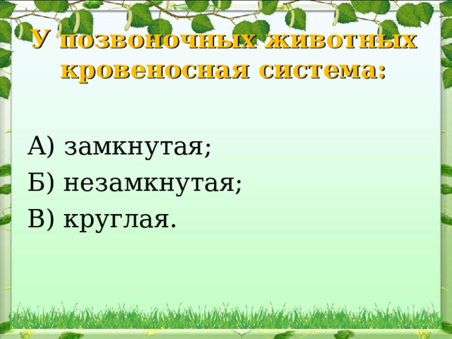 У позвоночных животных кровеносная система : А) замкнутая ; Б) незамкнутая ; В) круглая . 