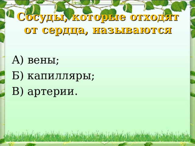 Сосуды, которые отходят от сердца, называются А) вены ; Б) капилляры ; В) артерии . 