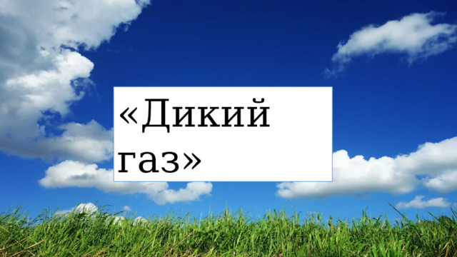 «Дикий газ» 