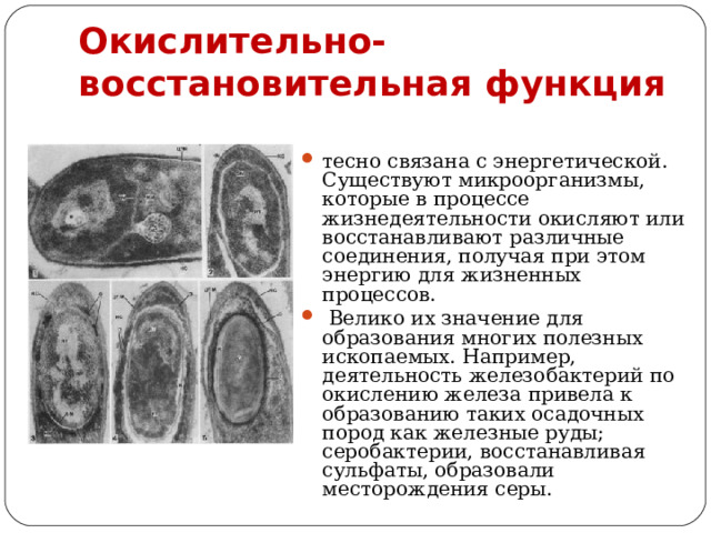 Окислительно-восстановительная функция тесно связана с энергетической. Существуют микроорганизмы, которые в процессе жизнедеятельности окисляют или восстанавливают различные соединения, получая при этом энергию для жизненных процессов.  Велико их значение для образования многих полезных ископаемых. Например, деятельность железобактерий по окислению железа привела к образованию таких осадочных пород как железные руды; серобактерии, восстанавливая сульфаты, образовали месторождения серы. 
