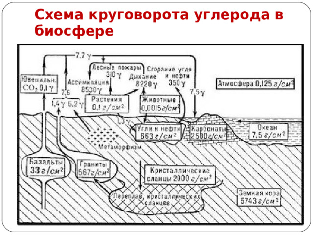 Схема круговорота углерода в биосфере 
