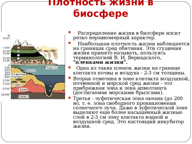 Плотность жизни в биосфере  Распределение жизни в биосфере носит резко неравномерный характер.  Наибольшая плотность жизни наблюдается на границах сред обитания. Эти сгущения жизни принято называть, пользуясь терминологией В. И. Вернадского, 