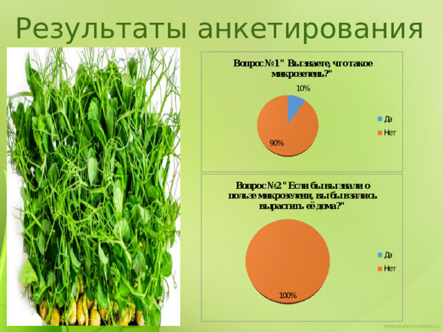 Результаты анкетирования 