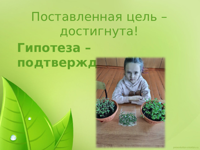 Поставленная цель – достигнута! Гипотеза – подтверждена! 