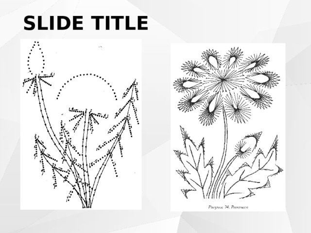 SLIDE TITLE 