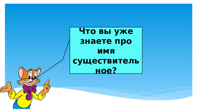 Что вы уже знаете про имя существительное? 