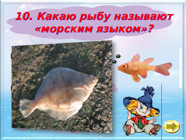 10. Какаю рыбу называют «морским языком»? а Налим б Рыба - капля в Камбала 