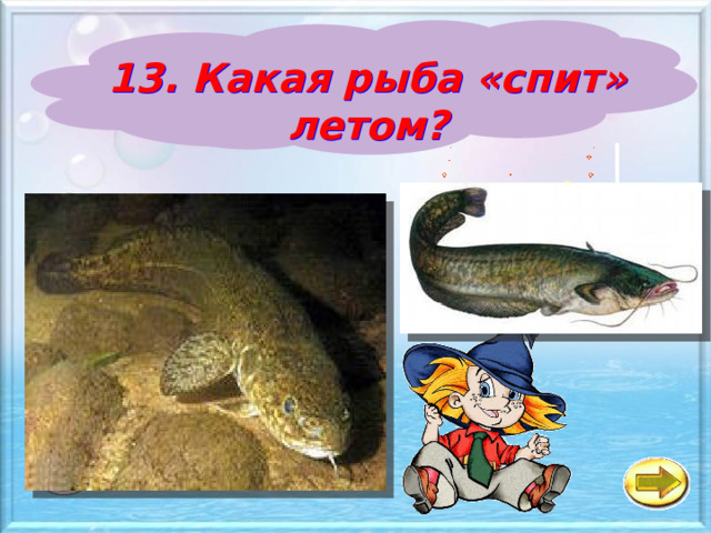13. Какая рыба «спит» летом? a Налим б Лещ в Сазан 
