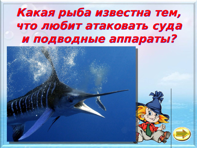 Какая рыба известна тем, что любит атаковать суда и подводные аппараты? а Рыба-молот б Рыба - клоун в Рыба-меч 