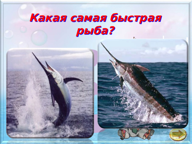 Какая самая быстрая рыба? а Рыба - пила б Рыба - меч в Рыба - молот 